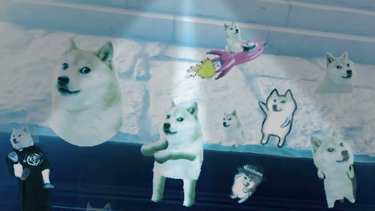 Doge party