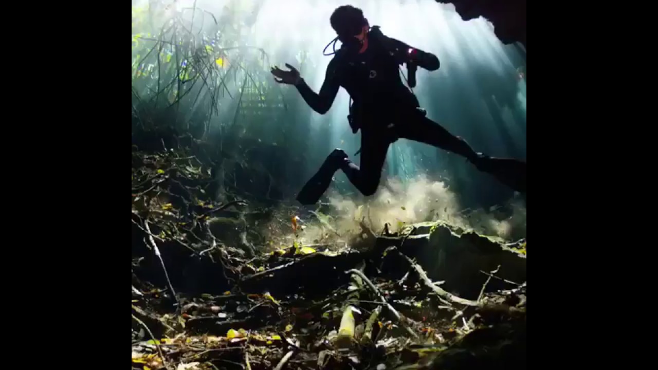 Crown Prince of Dubai, Sheikh Hamdan (@Faz3)