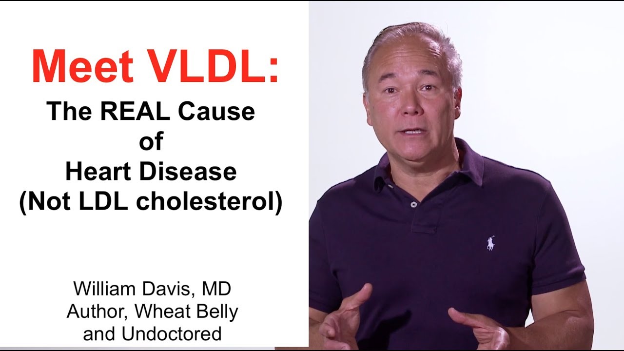 Meet VLDL: The REAL Cause of Heart Disease