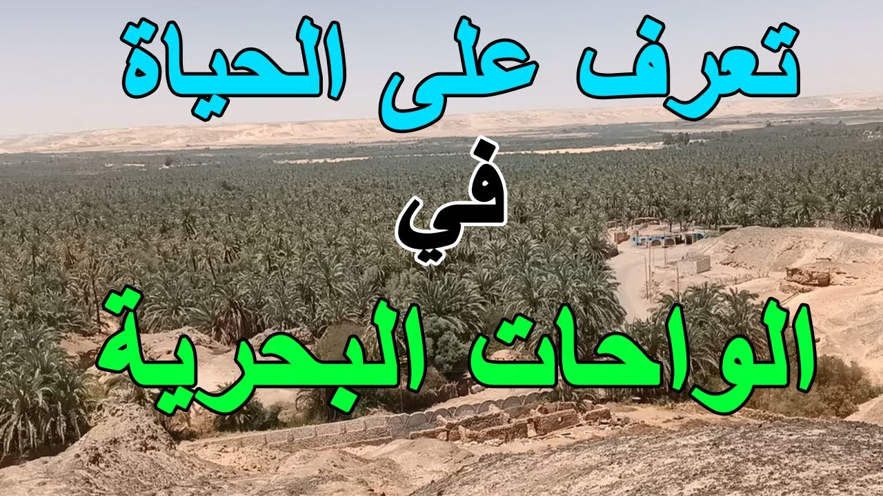 تعرف على ظروف المعيشة فى الواحات البحرية فى مصر | Life in Bahariya Oasis