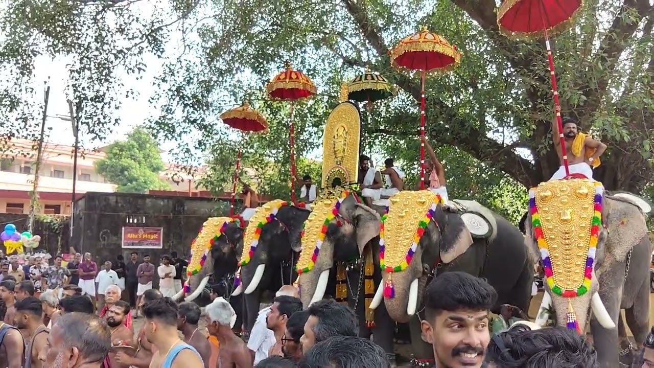 Athaniparambu Sree Chandanakkavu Vela 2026 | Panchavadyam | Kallekulangara Babu and team
