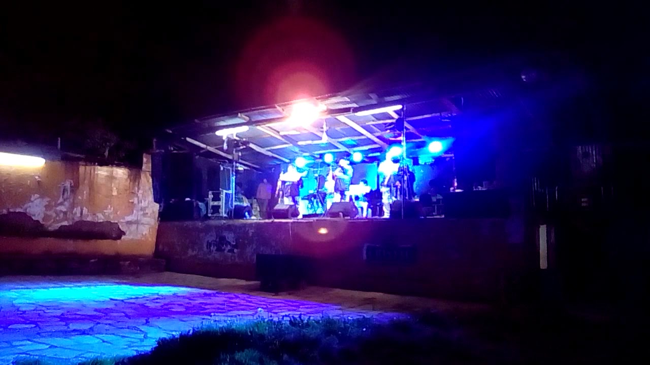 EL PUMITA DANDY