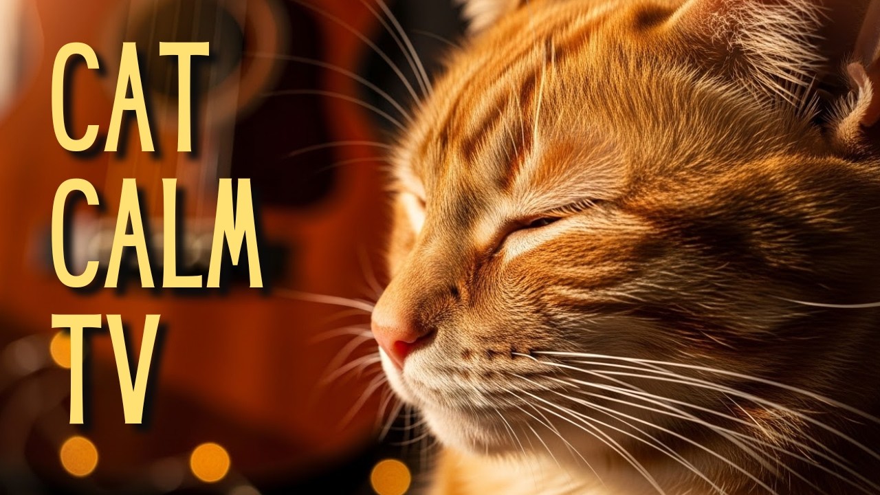 🐾 LIVE Cat Calm TV | Soothing Background Music to Leave On
