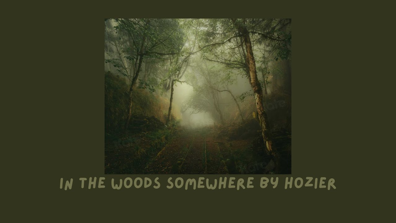 in the woods somewhere by hozier (slowed + reverb)