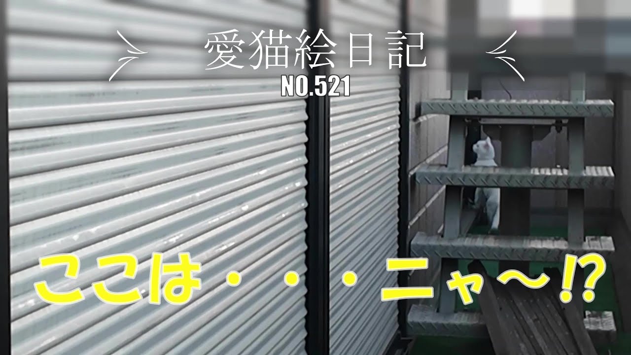 【愛猫絵日記-521】同じようにするんだね!!