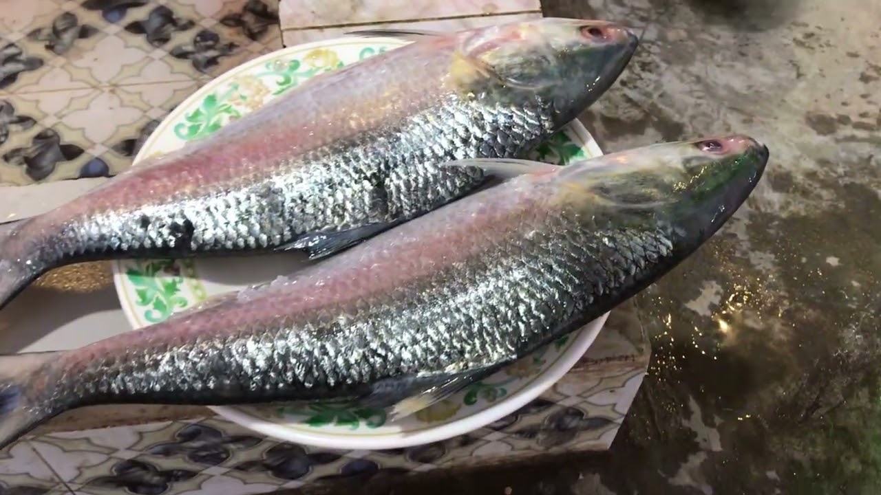 We Went for Ilish 🐟, Stayed for BBQ 🔥 | Mawa Resort Tour