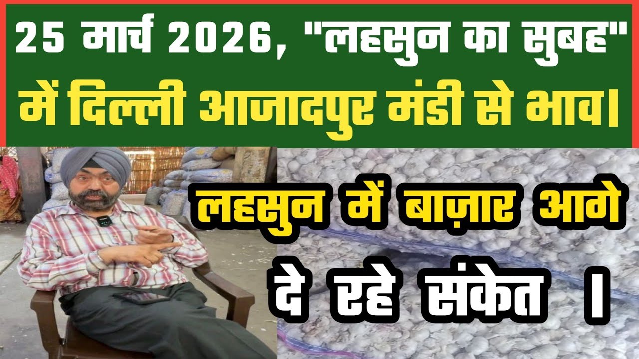 लहसुन में भाव ऐसे मिलेंगे ? Azadpur Delhi Mandi Today 25-03-2026 को बने ऐसे Garlic Price DMT TV