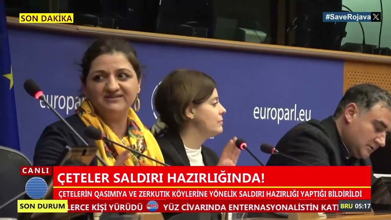 «КОНФЕРЕНЦИЯ В ЗАЩИТУ РОЯВЫ» - ЕВРОПЕЙСКИЙ ПАРЛАМЕНТ