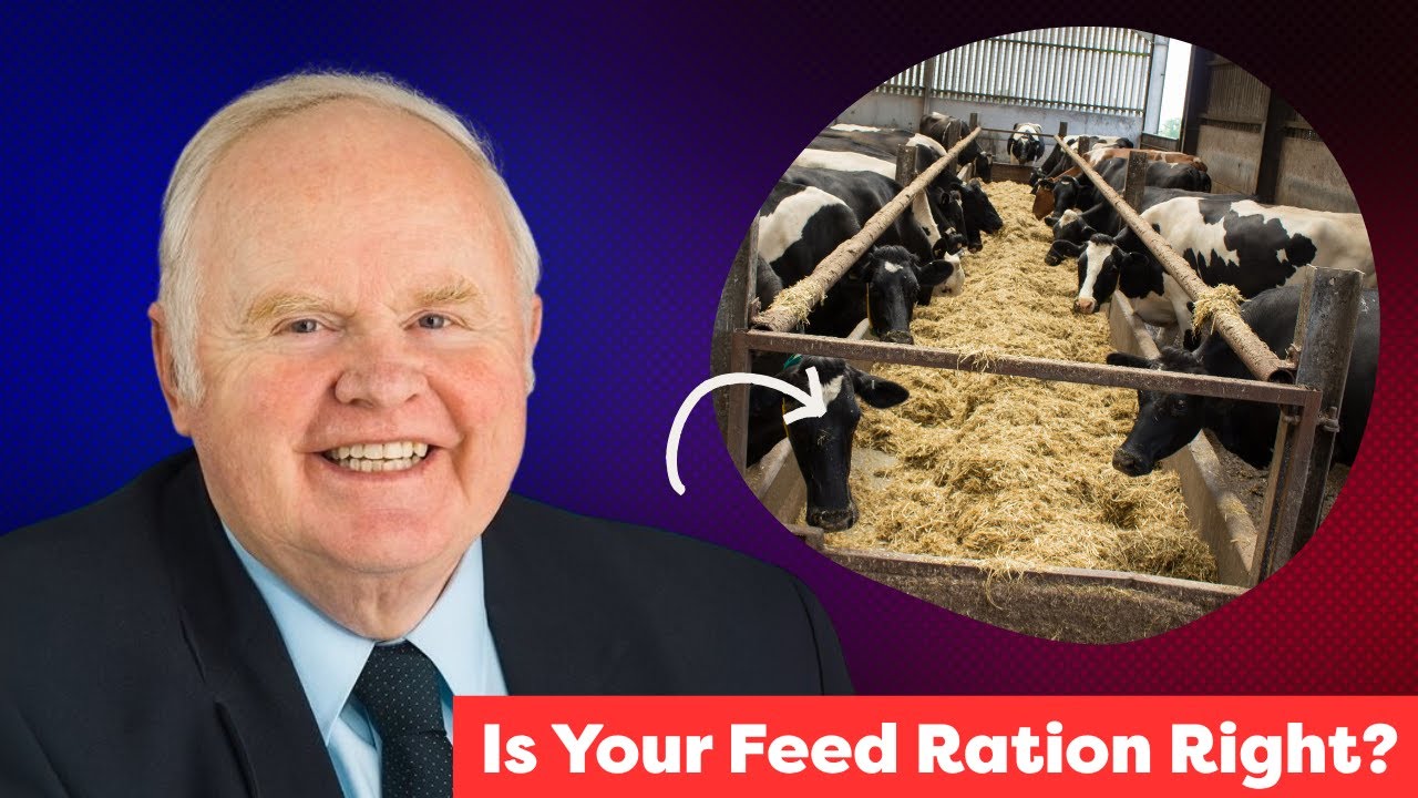 Why Milk Fat Is Dropping - Dr. Mike Hutjens