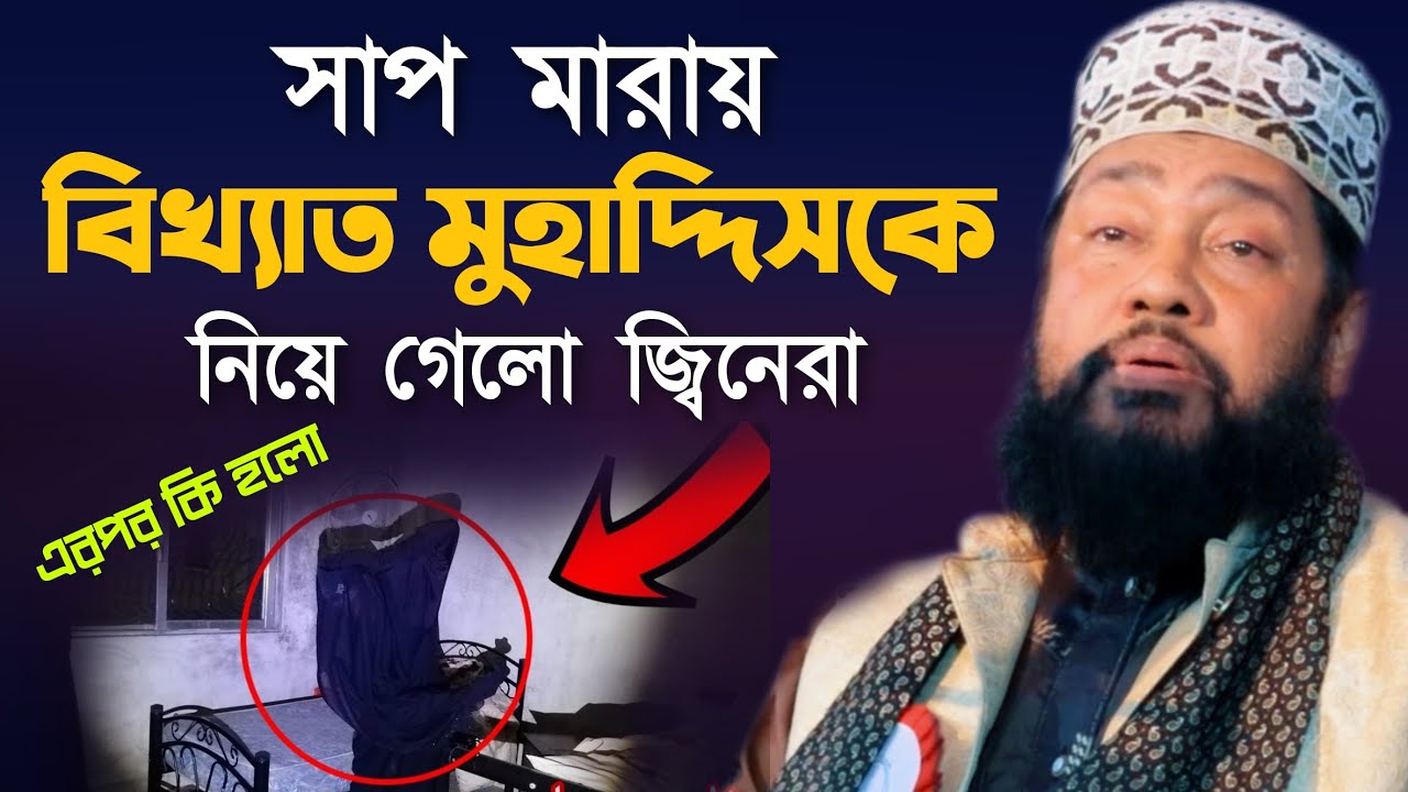 সাপ মা রার অপরাধে বিখ্যাত মুহাদ্দিসকে নিয়ে গেলো জ্বিনেরা আল্লামা তারেক মনোয়ার Allama Tarek Monowar