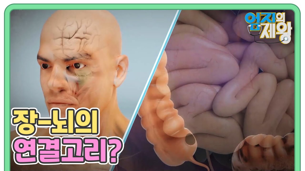 소화 기관 '장'에서 발견한 장-뇌의 연결고리? 우울증도 장에서 시작! MBN 221018 방송