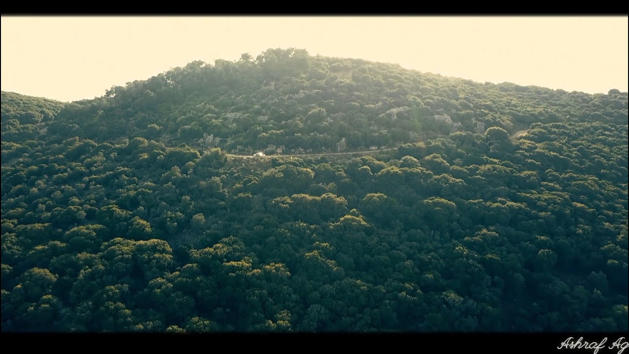 جبال الكرمل | فلسطين