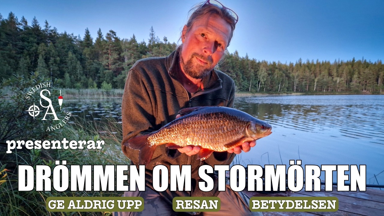 Swedish Anglers metar mört | Drömmen om stormörten