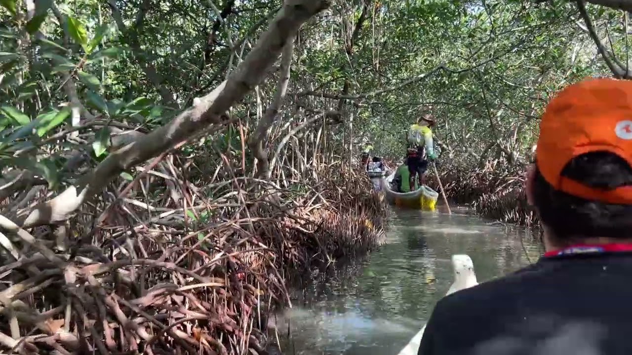 La Boquilla, Cartegena, Colombia 