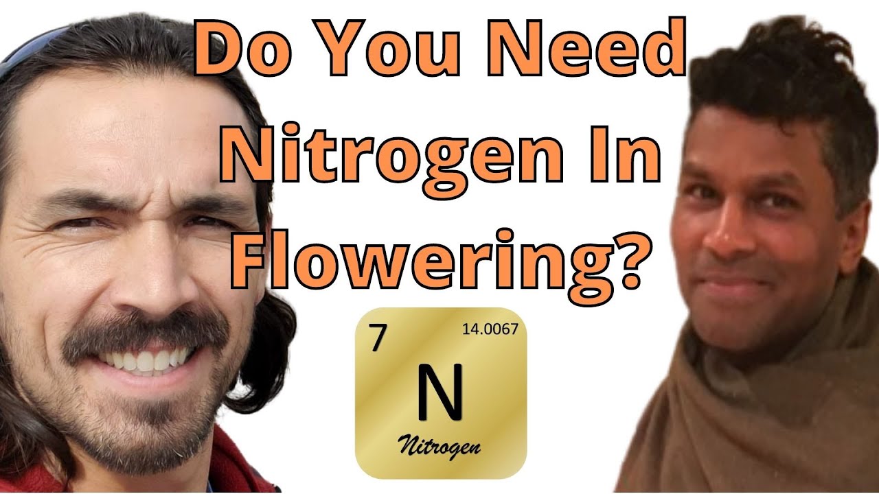 Is Nitrogen important in Flowering?