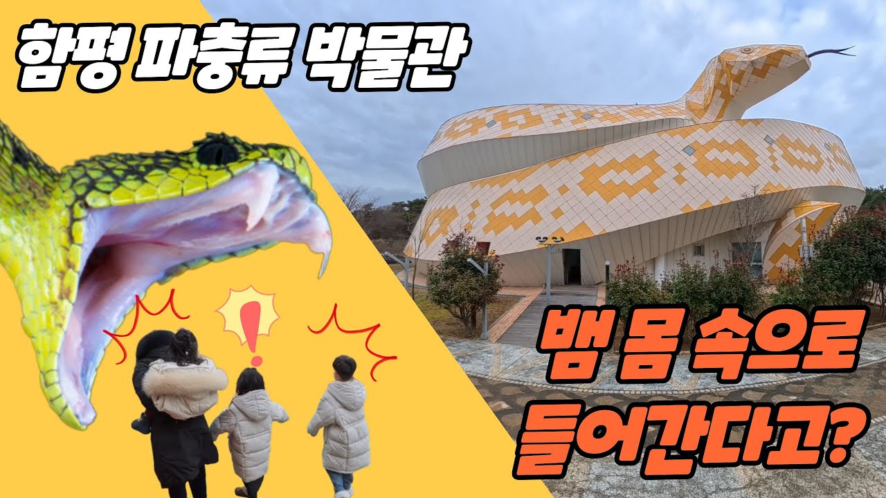 함평 파충류 박물관 다녀왔어요 | 함평 양서·파충류 생태공원 체험기