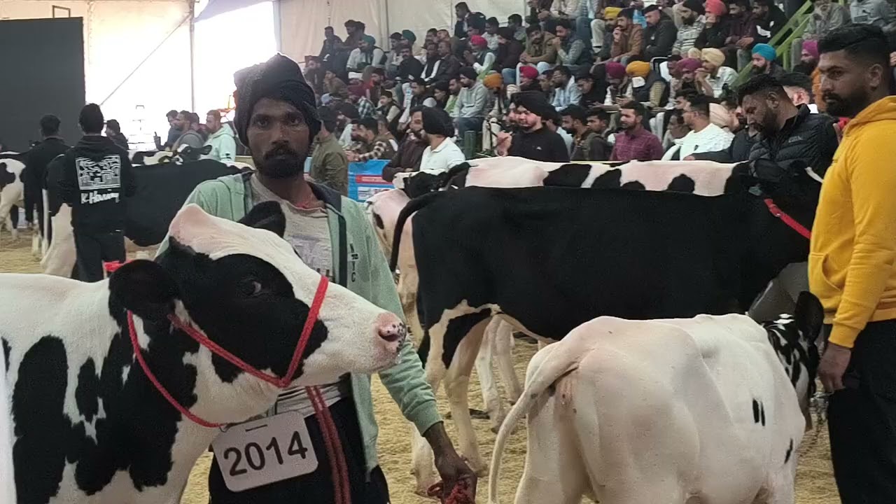 ਜਗਰਾਓਂ PDFA ਮੇਲਾ 2026