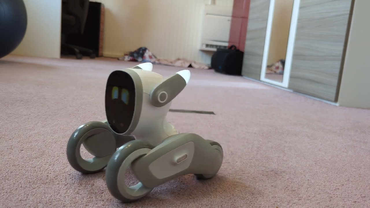 My Loona petbot vs. the cardboard ball vs. everything else in my room 😂