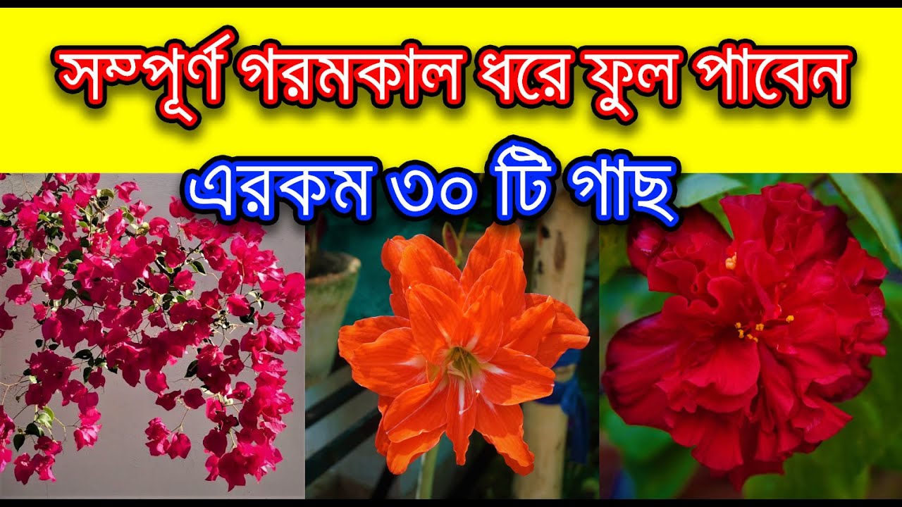 সম্পূর্ণ গরমকাল ধরে ফুল পাওয়ার মত ৩০ টি গাছ / 30 Best Summer Flower Plants / গরমের ফুল