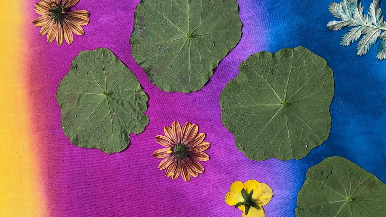 Sun Printing On Fabric