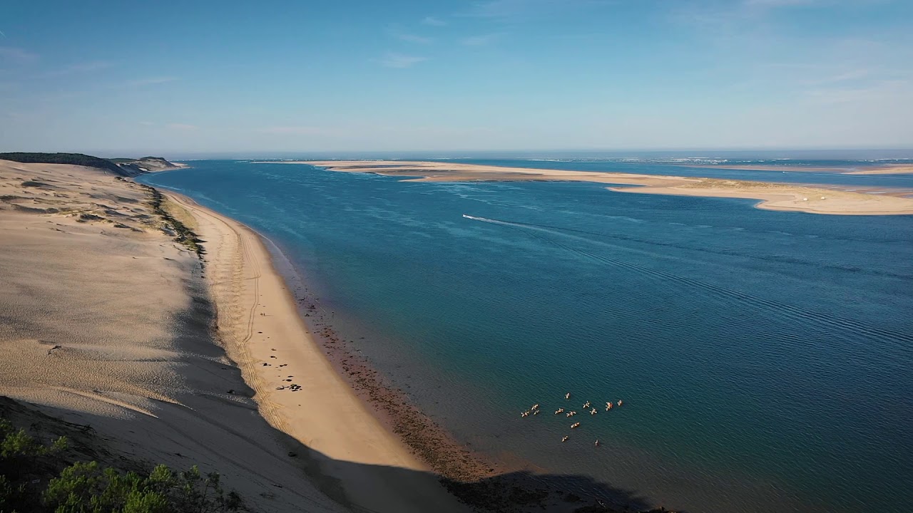 Balade en kayak de la dune du Pilat au banc d'Arguin - Amazone Canoë