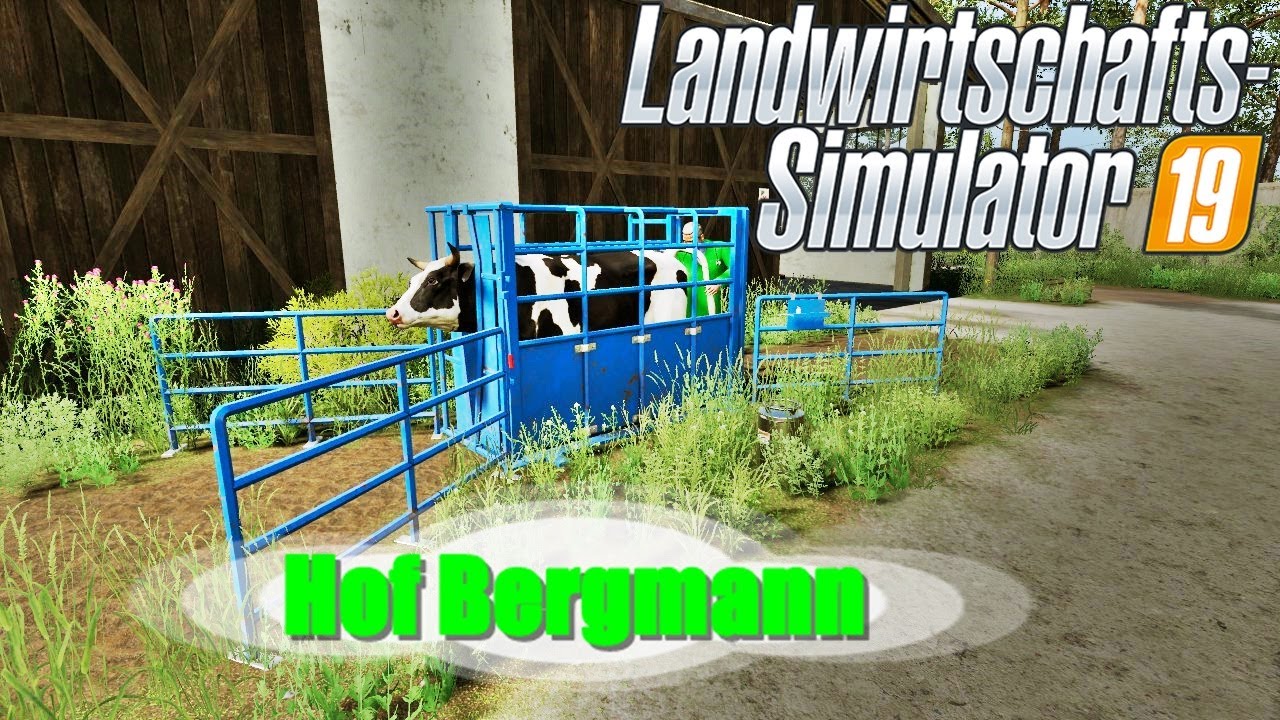 LS19 | Hof Bergmann | 1.0.0.8 BETA2 |# 02: Erste Kuh Besamung | LANDWIRTSCHAFTS SIMULATOR 19
