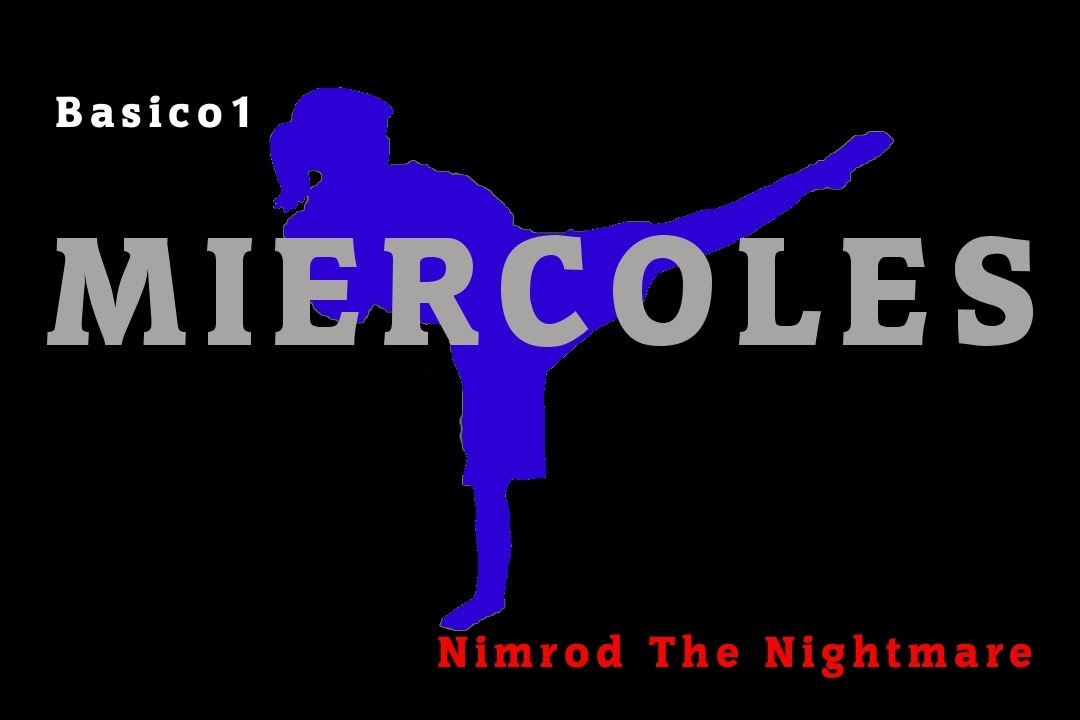 Rutina de artes marciales dia MIERCOLES basico 1 / / Entrenamiento Nimrod The Nightmare