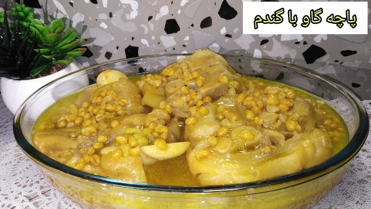 طرز تهیه پاچه گاو با گندم | How to make cow legs