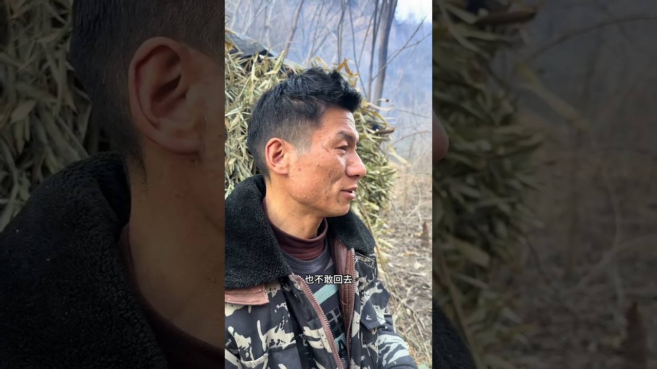 Solitary Wilderness Life: A Young Man's Survival Adventure in Shaanxi