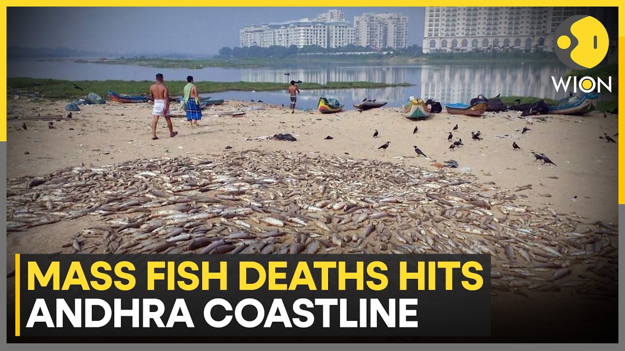 India: Thousands of Dead Fish Wash Ashore Along Andhra Coastline | WION