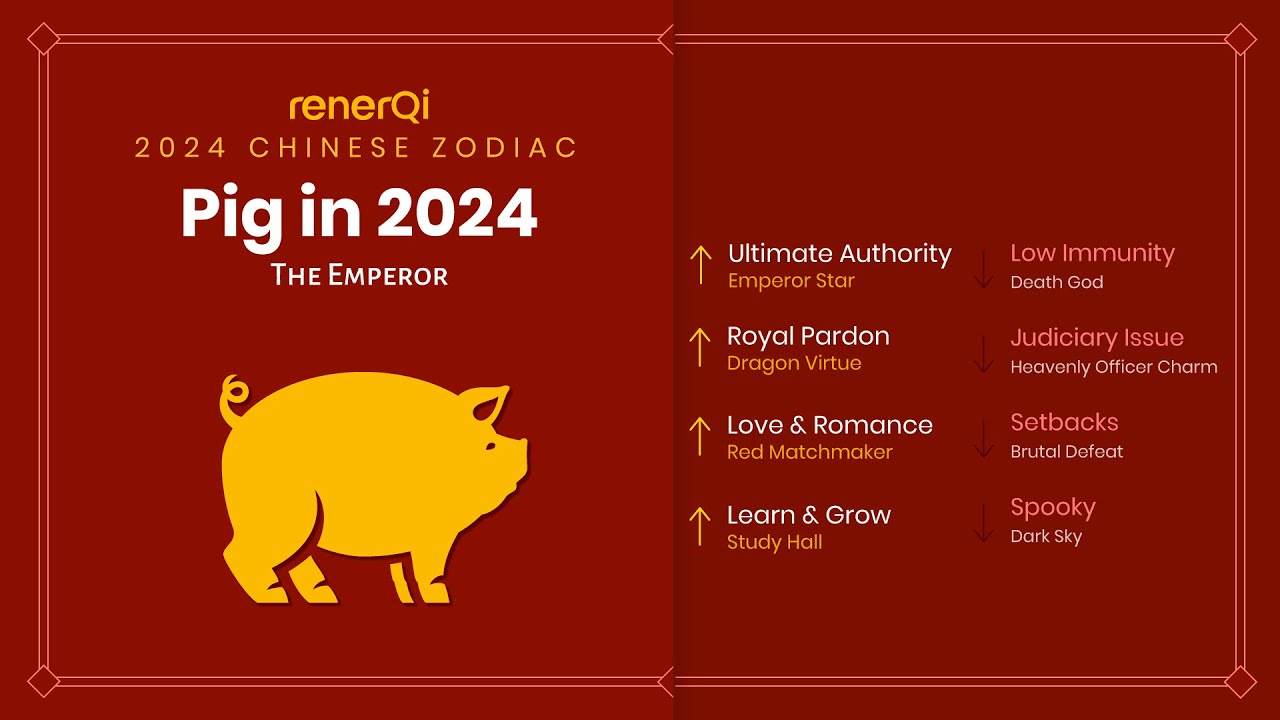 2024 Chinese Zodiac : Pig [SUB]