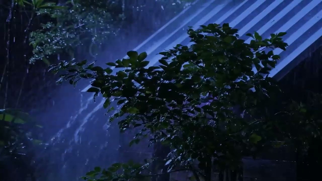 Fall into Sleep with Slow, Steady Rain on the Roof | Natural Night Rain