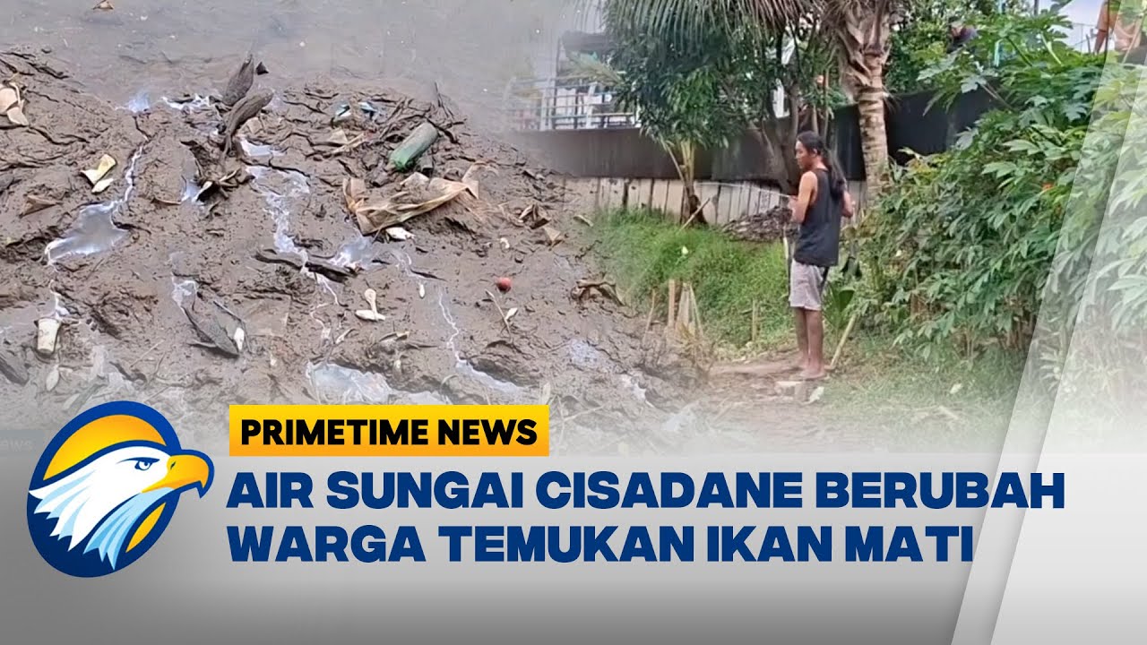 GAWAT! Ribuan Ikan Mati Di Sungai Cisadane Diduga Limbah Kimia - [Primerime News]