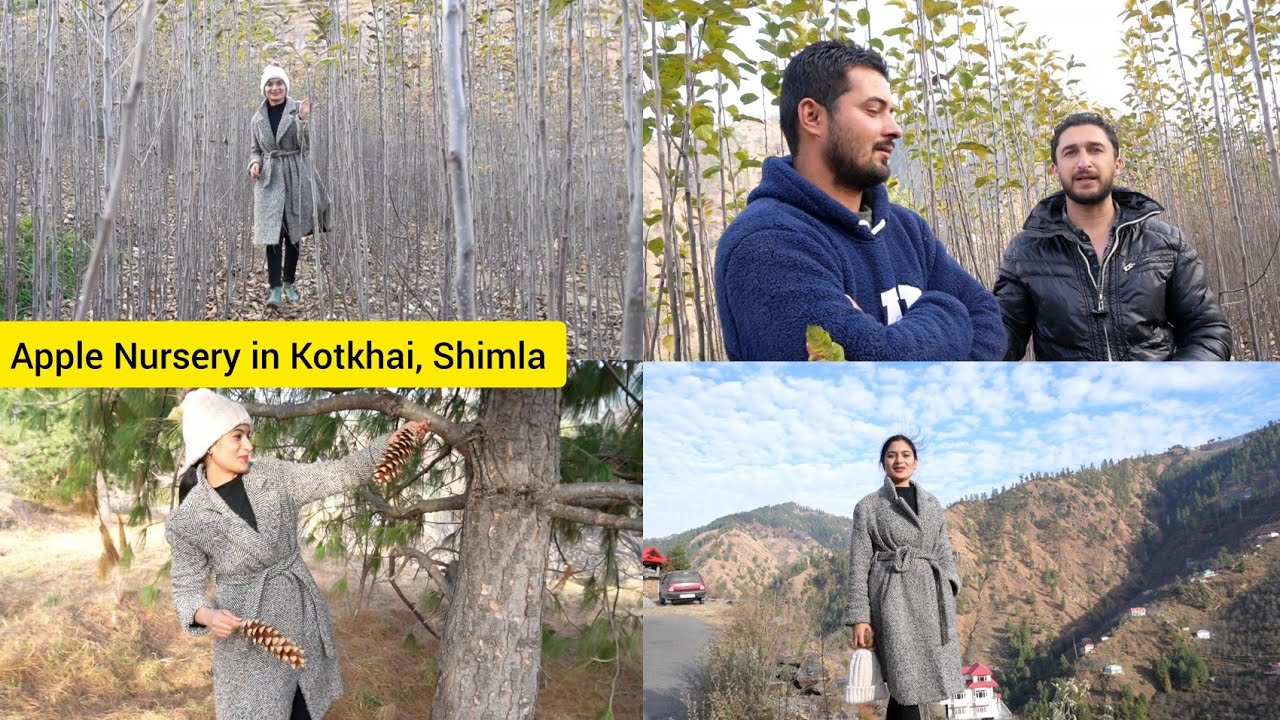 चलिए आज आपको Apple Nursery घुमाते हैं😍