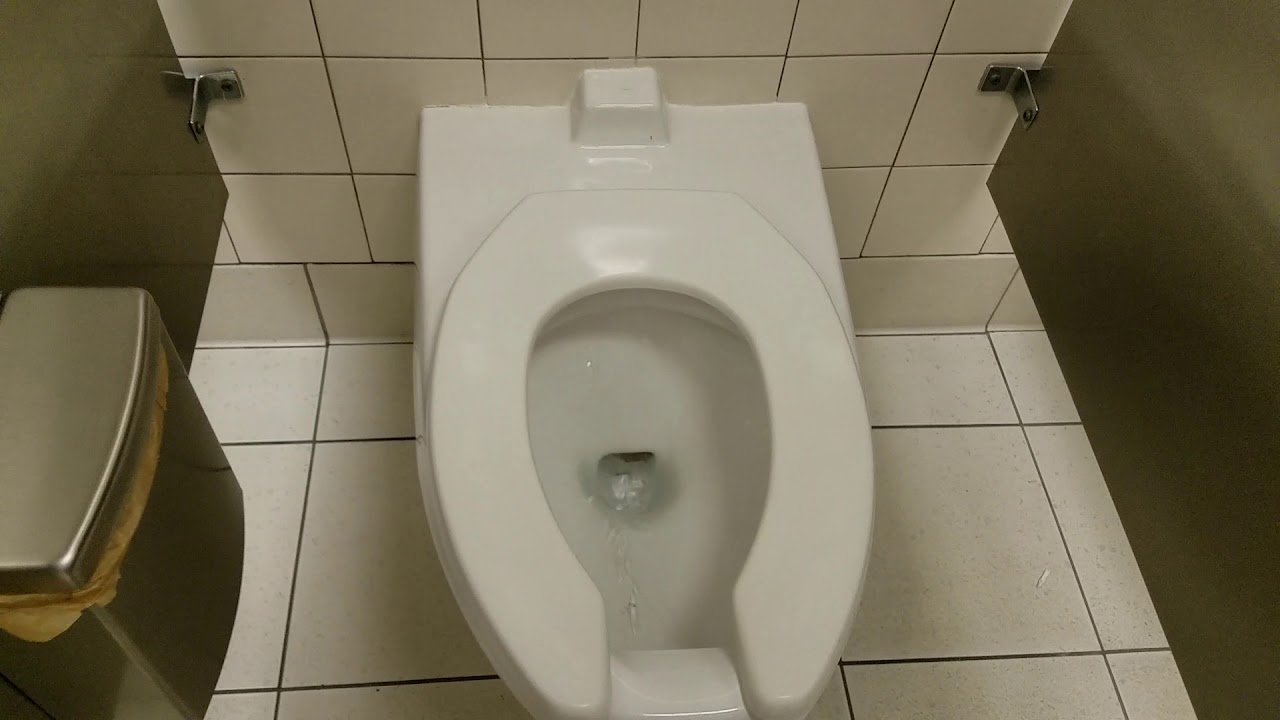 The bathroom at target (old vision)