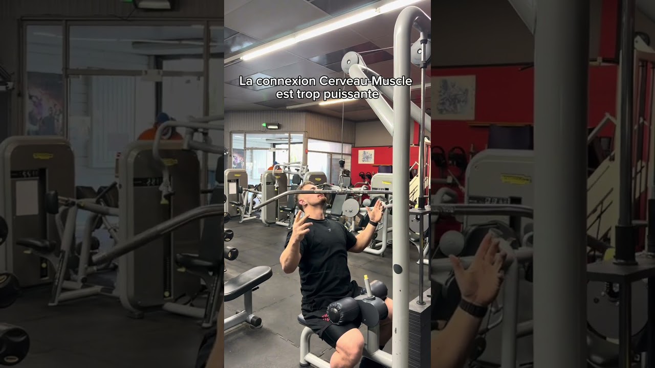 Concentration maximale