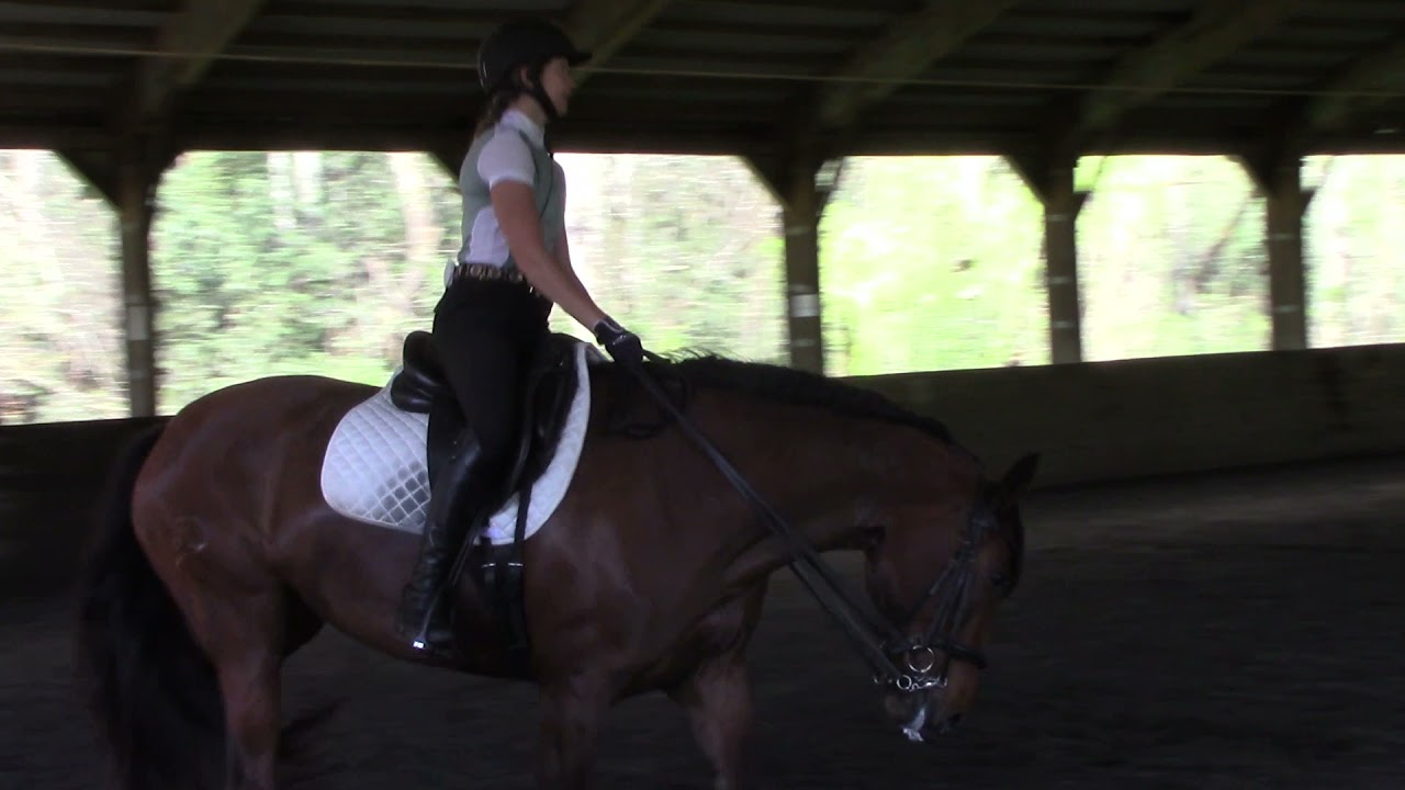 Alhambra Lxxiv Sarah Sharpe Laura Graves Clinic Part 5