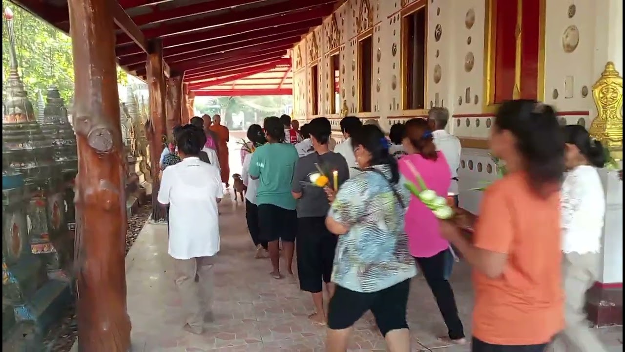 เวียนเทียนวันมาฆบูชา @วัดสะเดาสิงห์บุรี