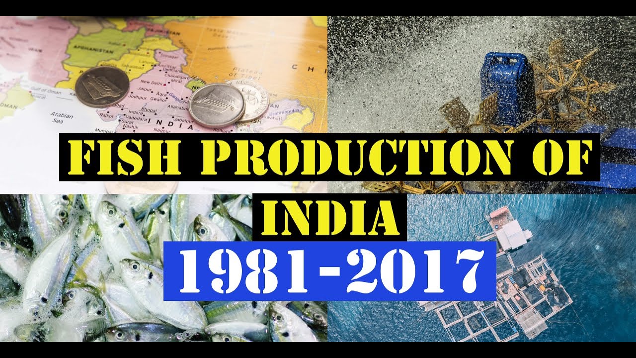 Fish production of India 1980-2017