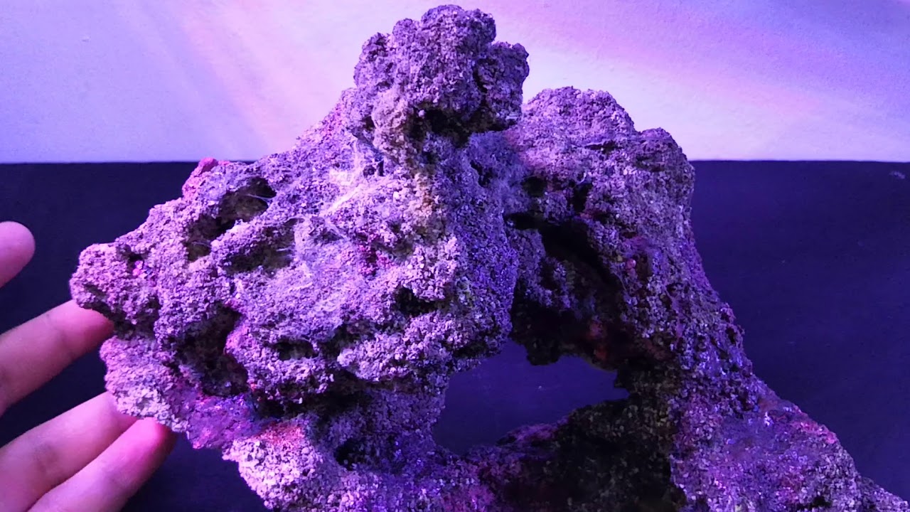 Eco Reef - Roca sostenible para acuario marino - TMC