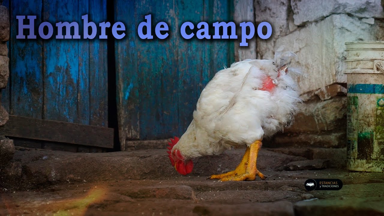 233 Luciano Pereyra, vive en El Campo (San Luis) - Estancias y Tradiciones