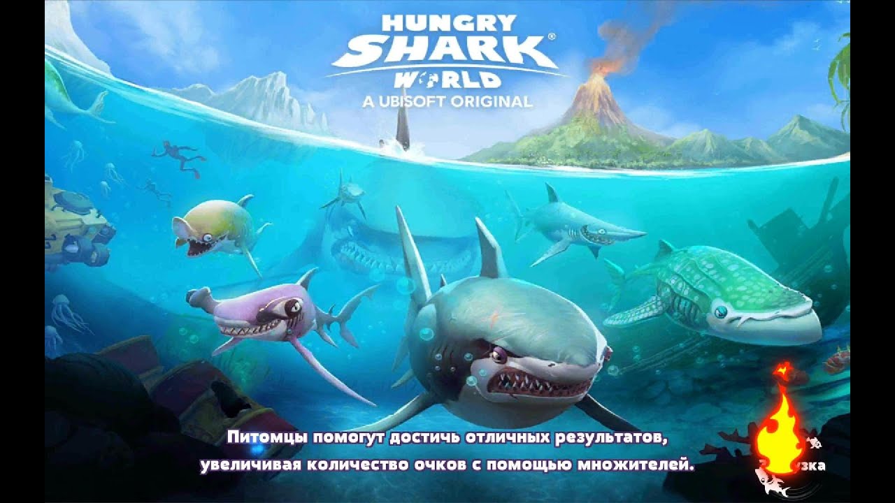 Hungry Shark