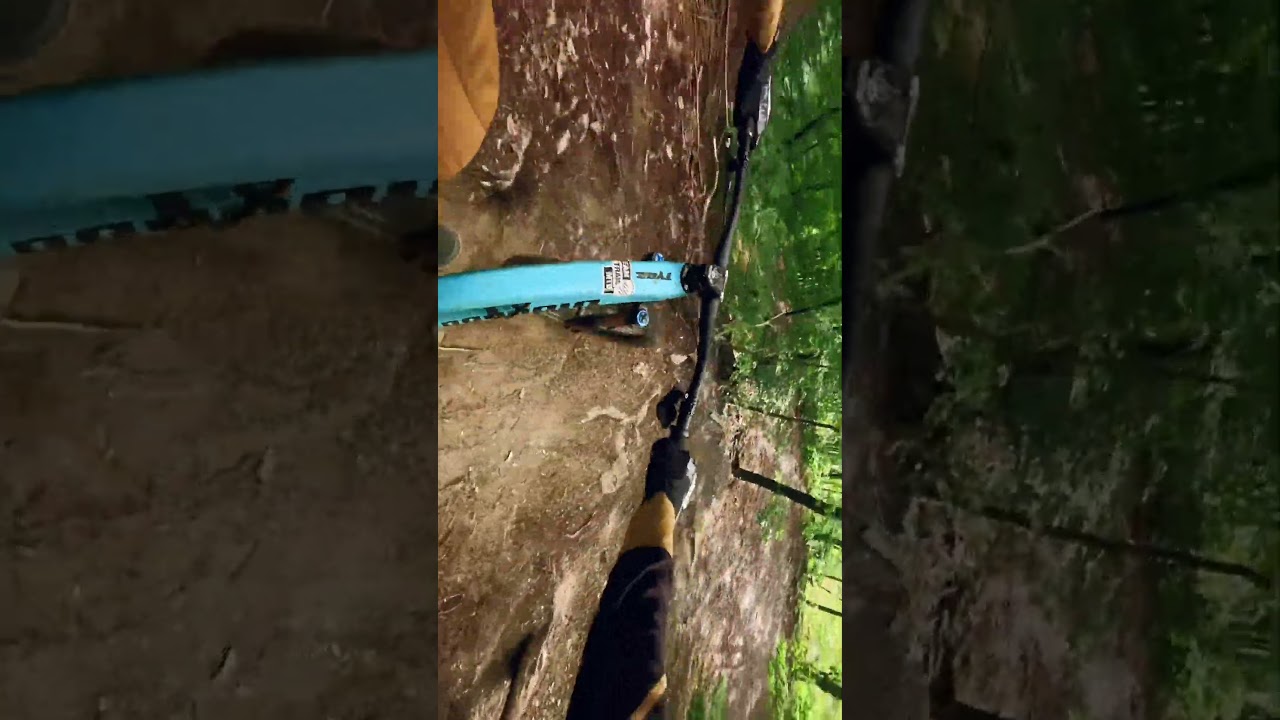 MTB trails Spa #adventure #gopro #mountainbike #mountainbiking #mtb #mtblife