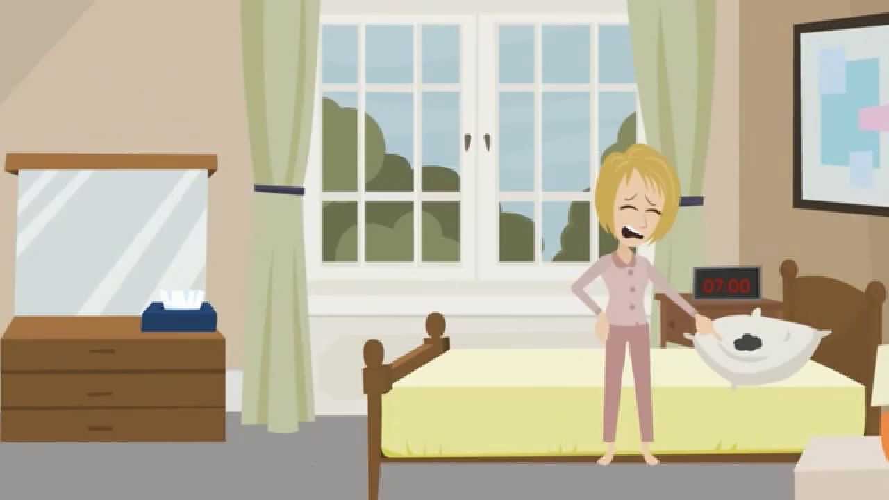 Bed Bugs Pest Control in Denver CO | Beeline Pest Control
