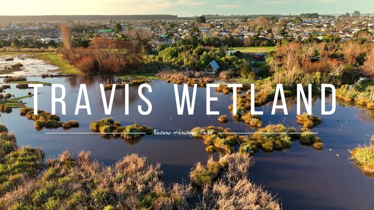 FLY OVER NEW ZEALAND! Exploring Travis Wetland &ndash; A Peaceful Nature Walk in Christchurch