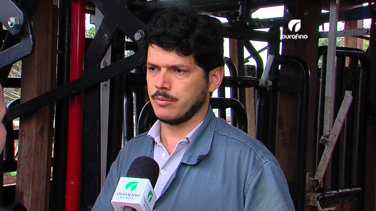 03/11/2014 - Transferência de Embrião em Tempo Fixo - Ourofino em Campo