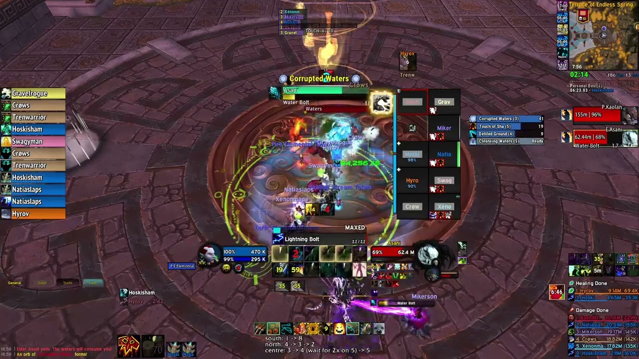 Hard Mode Protectors of the Endless 10m Heroic Resto Shaman PoV | Terrace of Endless Sring (ToES)