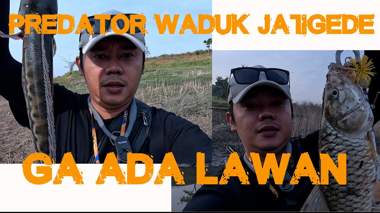 STRIKEEE!! niat CASTING GABUS malah dis1k4t IKAN TOMAN dan HAMPALA  di Waduk Jatigede. Landbase!