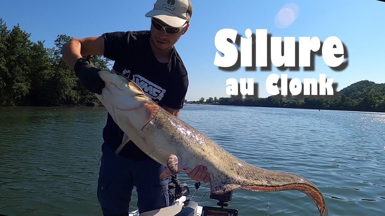 On teste la pêche du silure au clonk