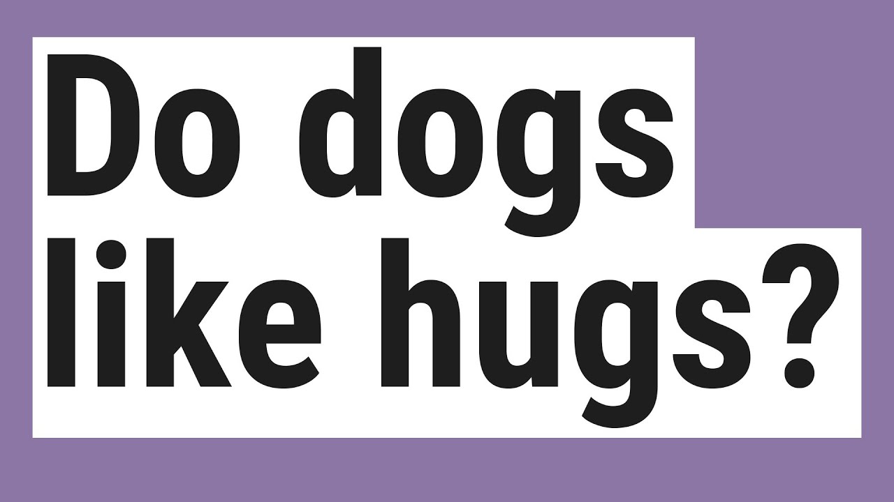 Do dogs like hugs?